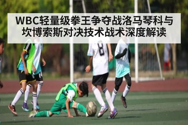 WBC轻量级拳王争夺战洛马琴科与坎博索斯对决技术战术深度解读（kaiyun）